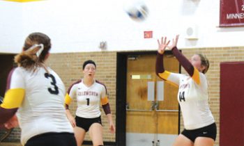 Panther Volleyball Continues to Fight