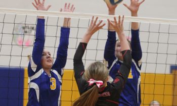 Lady Dragons end season with Section loss